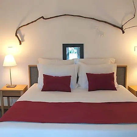 Hotel Country 4*