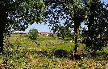 Vakantieboerderij Country Lousada