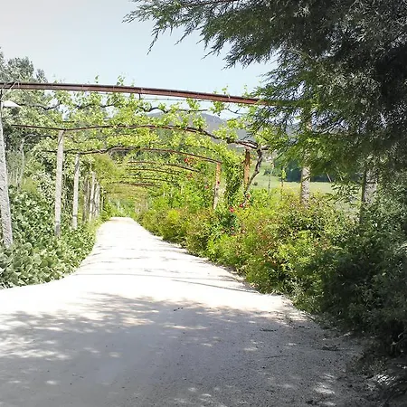 Çiftlik konaklama Country