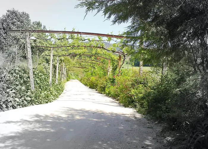 酒店 洛萨达乡村农家乐